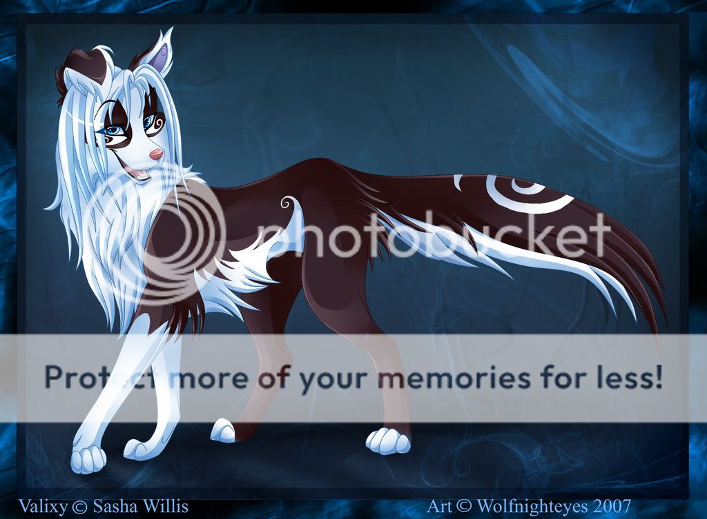 picture